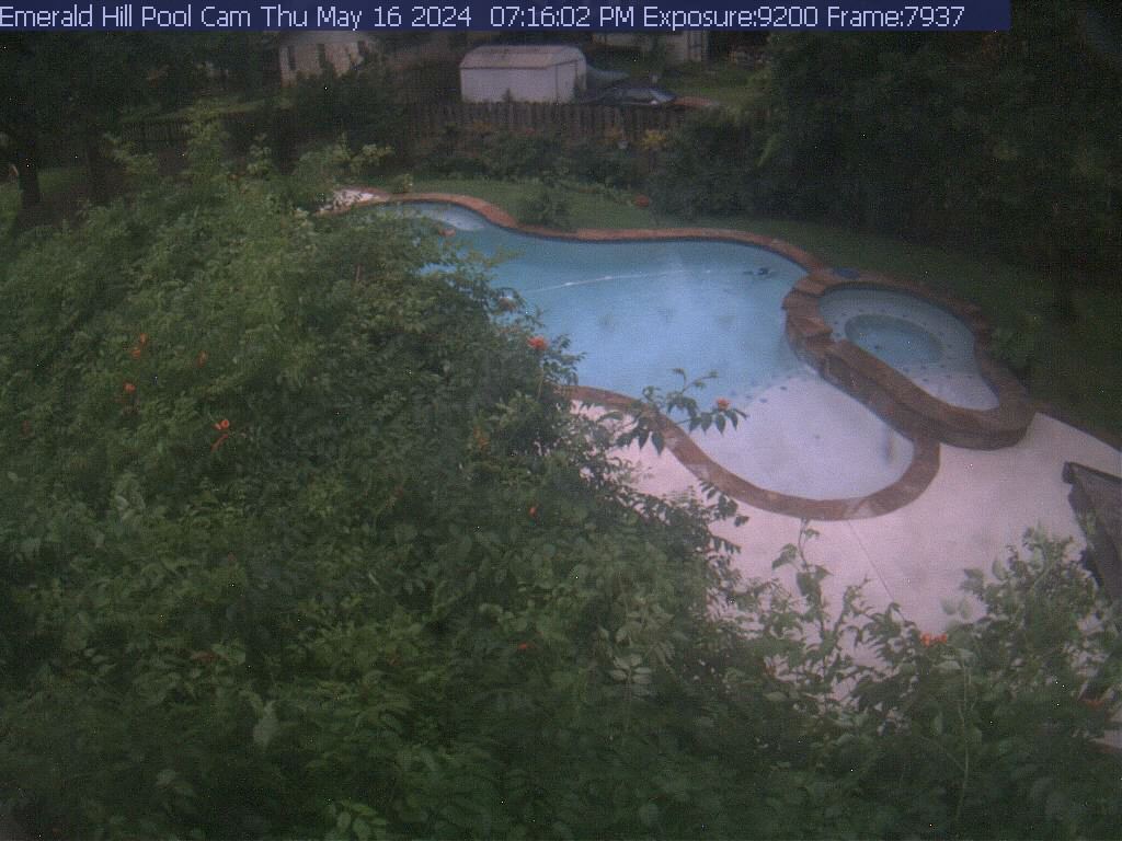netcam_pool-29